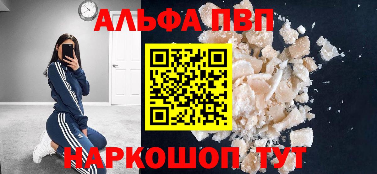 A PVP СК Зеленогорск