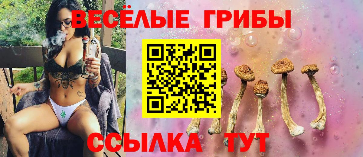 Зеленогорск  Псилоцибиновые грибы GOLDEN TEACHER  Вход с VPN 