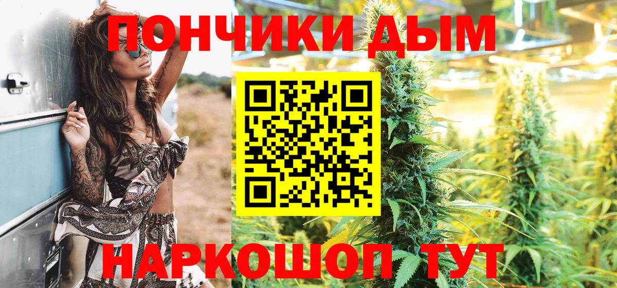 Бошки марихуана сатива  Канабис THC 21%  Зеленогорск  Каннабис конопля  Вход с VPN 